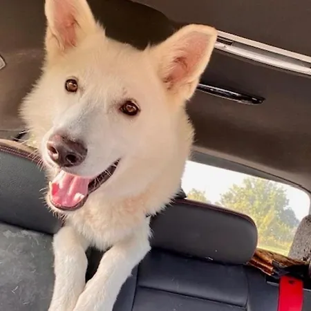Lejlighed Haus Fembre Bis 4 Personen - 1 Hund Erlaubt